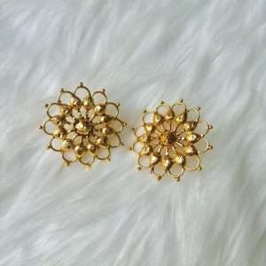 IMG-20251003-WA0013 Shurjomukhi